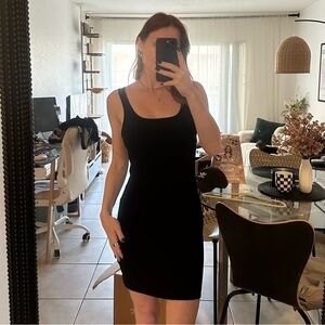 Aritzia Babaton bodycon mini dress